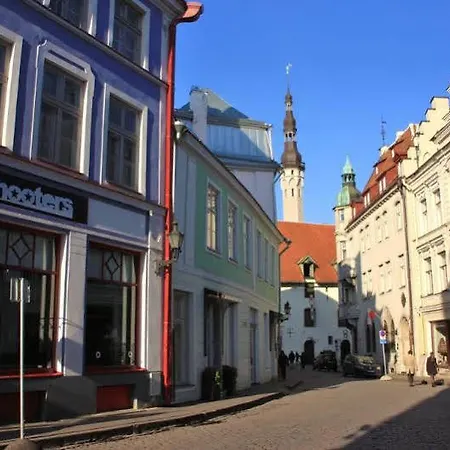 Hestia Maestro Old Town
